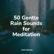 50 Gentle Rain Sounds for Meditation
