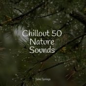 Chillout 50 Nature Sounds