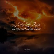 50 Light Soft Rain Loops for Calm Sleep