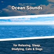 #01 Ocean Sounds for Relaxing, Sleep, Studying, Cats & Dogs