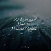 50 Rain and Nature: Natural Glow