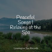 Peaceful Songs | Relaxing at the Spa