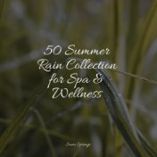 50 Summer Rain Collection for Spa & Wellness