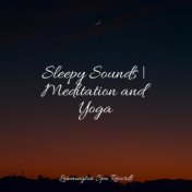Sleepy Sounds | Meditation and Yoga