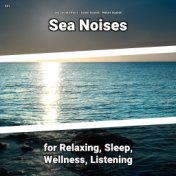 #01 Sea Noises for Relaxing, Sleep, Wellness, Listening