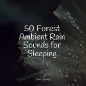 50 Forest Ambient Rain Sounds for Sleeping