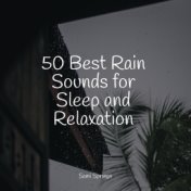 50 Best Rain Sounds for Sleep and Relaxation