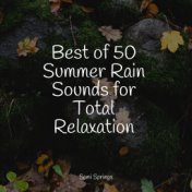 Best of 50 Summer Rain Sounds for Total Relaxation