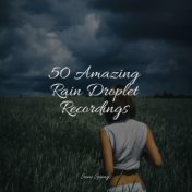 50 Rain and Nature Sounds for Meditation