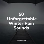 50 Unforgettable Winter Rain Sounds