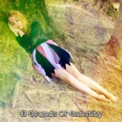 43 Sounds Of Sanctity