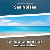 #01 Sea Noises for Relaxation, Night Sleep, Wellness, to Rest