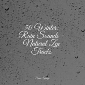 50 Winter: Rain Sounds - Natural Zen Tracks