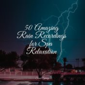 50 Amazing Rain Recordings for Spa Relaxation