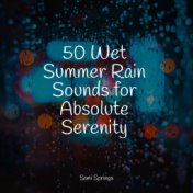 50 Wet Summer Rain Sounds for Absolute Serenity