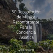 50 Sonidos Primaverales de la Naturaleza