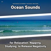#01 Ocean Sounds for Relaxation, Napping, Studying, to Release Negativity