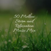 50 Mellow Storm and Relaxation Music Mix