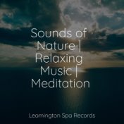 Sounds of Nature | Relaxing Music | Meditation