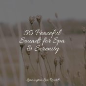 50 Peaceful Sounds for Spa & Serenity