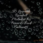 50 Loopable Rainfall Melodies for Peace & Find Calmness