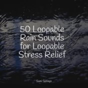 50 Loopable Rain Sounds for Loopable Stress Relief