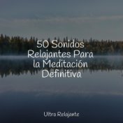 50 Sonidos Relajantes Para la Meditación Definitiva