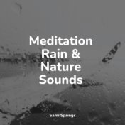 Meditation Rain & Nature Sounds