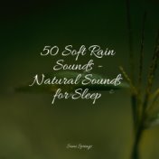 50 Soft Rain Sounds - Natural Sounds for Sleep