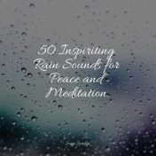 50 Inspiriting Rain Sounds for Peace and Meditation