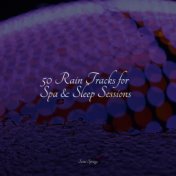 50 Rain Tracks for Spa & Sleep Sessions