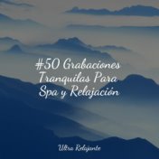 #50 Grabaciones Tranquilas Para Spa y Relajación