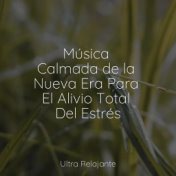 Música Calmada de la Nueva Era Para El Alivio Total Del Estrés