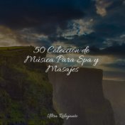 50 Colección de Música Para Spa y Masajes