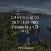 50 Recopilación de Música Para Relajarse en El Spa