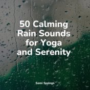 50 Calming Rain Sounds for Yoga and Serenity