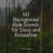 Sounds of Rain and Nature Sounds