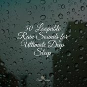 50 Relaxing Rainfall Songs