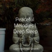 Peaceful Melodies | Deep Sleep