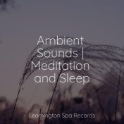 Ambient Sounds | Meditation and Sleep