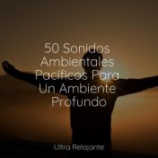 50 Sonidos Ambientales Pacíficos Para Un Ambiente Profundo