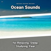 #01 Ocean Sounds for Relaxing, Sleep, Studying, Fear