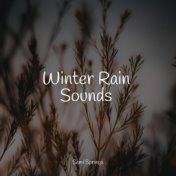 Sounds of Rain and Nature Sounds