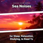 #01 Sea Noises for Sleep, Relaxation, Studying, to Read To
