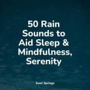 #1 50 Ambient Rain Sounds for Sleep