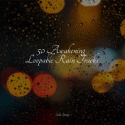 50 Awakening Loopable Rain Tracks