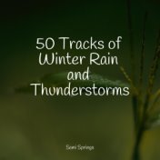 50 Tracks of Winter Rain and Thunderstorms