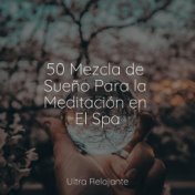 50 Mezcla de Sueño Para la Meditación en El Spa