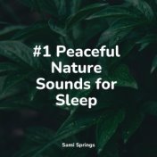 #1 Peaceful Nature Sounds for Sleep
