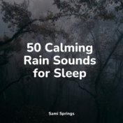 50 Calming Rain Sounds for Sleep